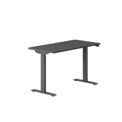 Charcoal Dual Standing Desk