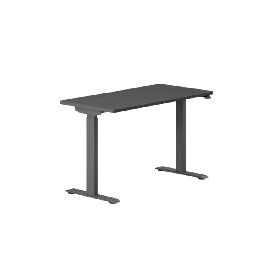 Charcoal Dual Standing Desk