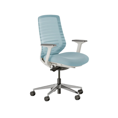 Baby Blue Ergonomic Chair