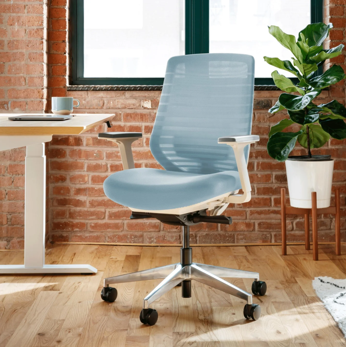 Baby Blue Ergonomic Chair