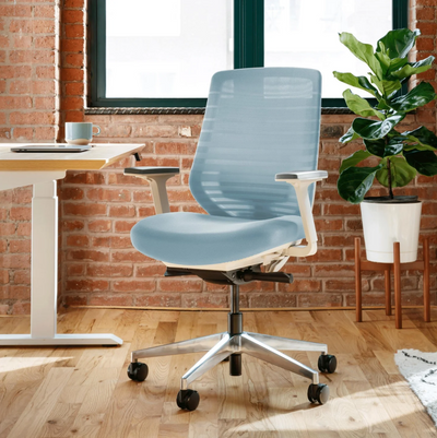 Baby Blue Ergonomic Chair